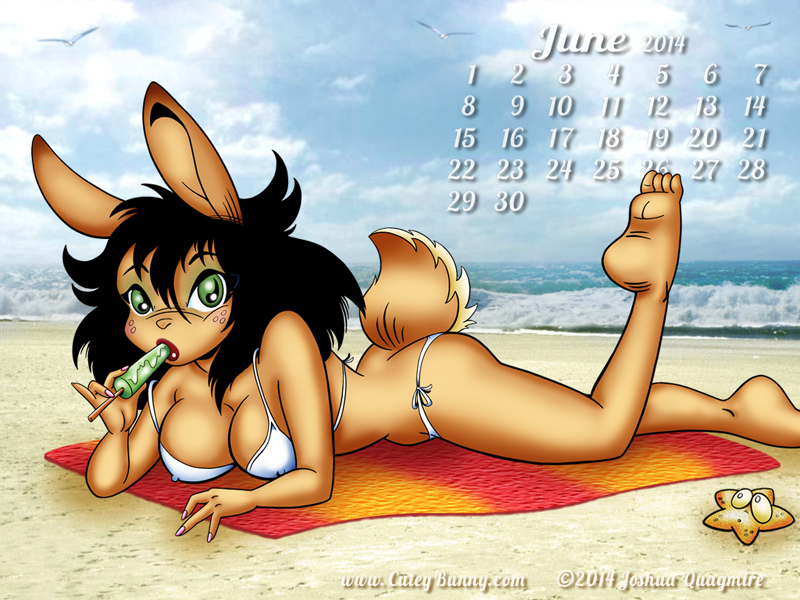 Beach Bunny Calendar